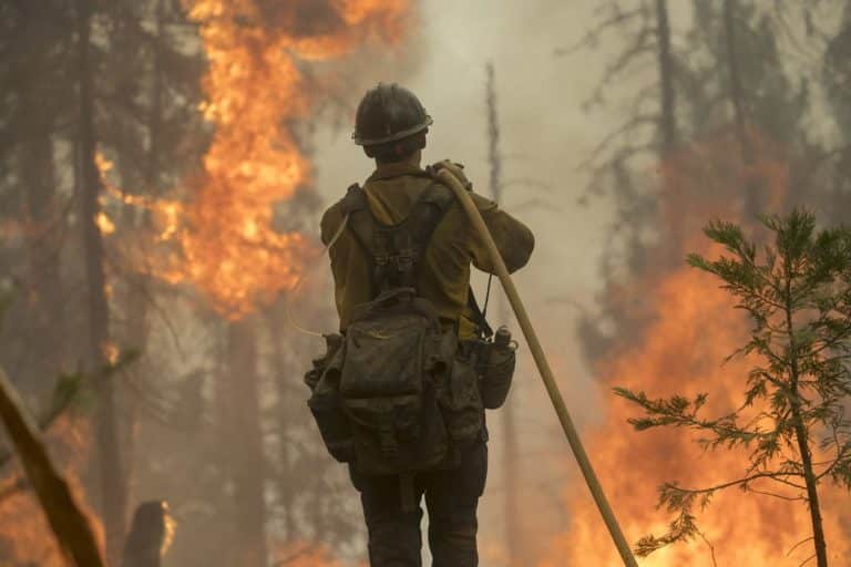 easy and cheap things to make your home safer from fire