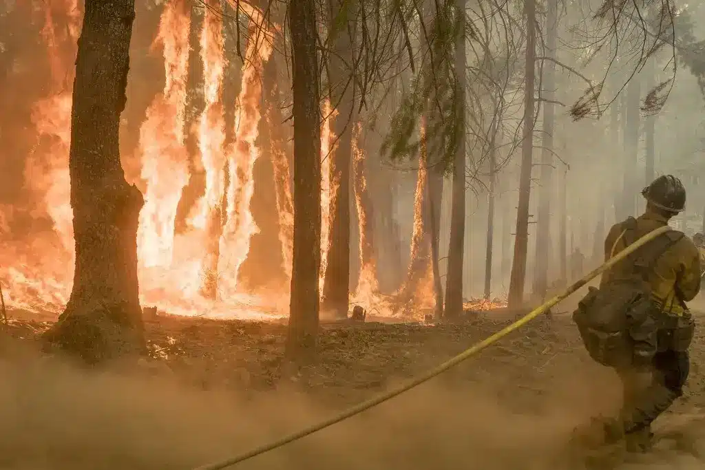 Fire Map of All Active Fires in California