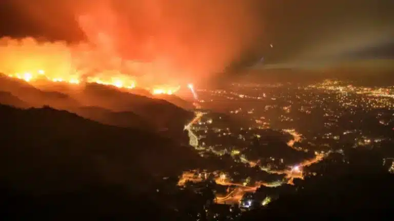 Standing Together During the LA Wildfires A Guide to Resources and Support